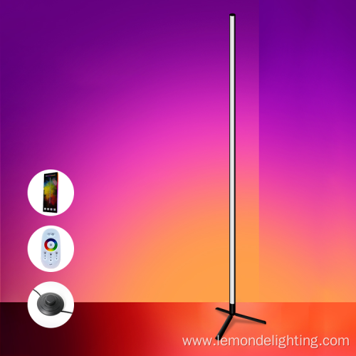 Modern Design Decorative Living Room Corner Floor Lamp